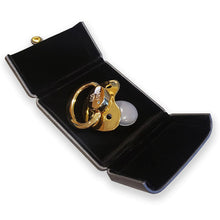Load image into Gallery viewer, Gilded 18k Gold Adult Pacifier with Gemstones
