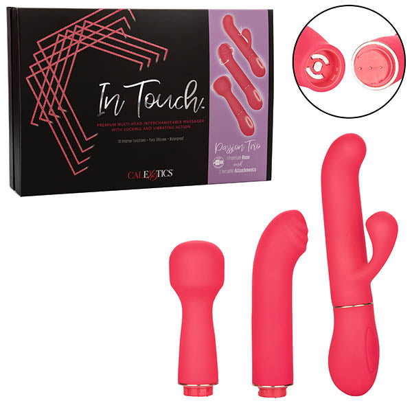 In Touch Passion Trio - Pink USB Rechargeable 3-in-1 Vibrator